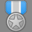 Silver Medal Level 2