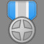 Silver Medal Level 1