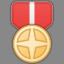 Brass Medal Level 1