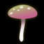 The first mushroom