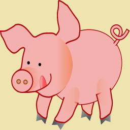 Oink!