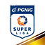 Icon for PGNiG Superliga
