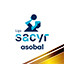 Icon for Liga Sacyr ASOBAL