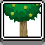 Icon for Orchard
