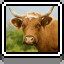Icon for Cow