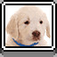 Icon for Puppies
