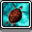 Icon for Turtle