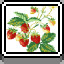 Icon for Strawberry Bush