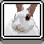 Icon for Bunny