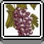 Icon for Grapes