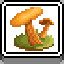 Icon for Jack-o'-lantern Mushroom