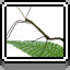 Icon for Stick Bug
