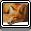 Sleeping Fox