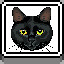 Icon for Black Cat