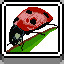 Icon for Ladybug