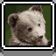 Icon for Bear Cubs