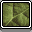Icon for Leaf
