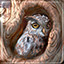 Icon for Give a Hoot