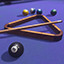 Icon for Pool Shark