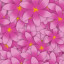 Icon for Flower