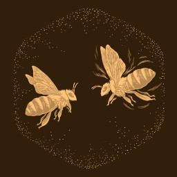 Revolución de baile