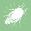 Icon for Insect Inspector
