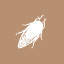 Icon for Cicada Collector