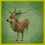 Icon for Deer Hunter