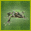 Icon for Witch Frog