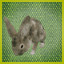 Icon for Rabbit Hunter
