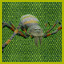 Icon for Spider Hunter
