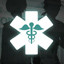 Icon for The Guardian of Medical System