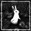 Icon for All The Little Bunnies