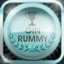 Gin Rummy Champion