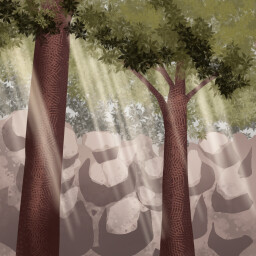 Deep Woods