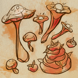 Icon for Master Of Mushrooms