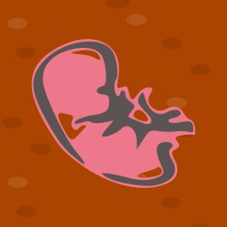 Baby Colony