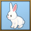 Icon for Become a little friendly with the Rabbit