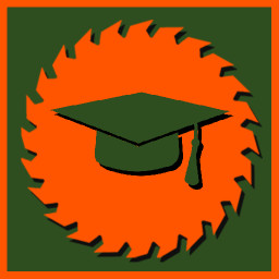 Icon for Master of skills