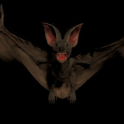 Icon for Destroyer of Normal Bats
