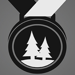 Icon for Gold on Northern Forest