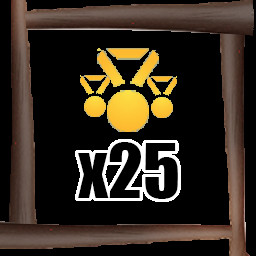 Icon for PvP Captain