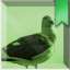 Icon for Avian Ancestors