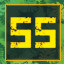 Level 55