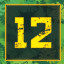 Level 12