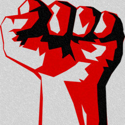 Icon for Viva La Revolution