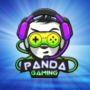 ZX Panda - steam id 76561199095341424