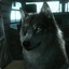 Namelesswolf09