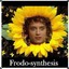 Frodo-Synthesis