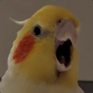 Wil5on - steam id 76561197973339502